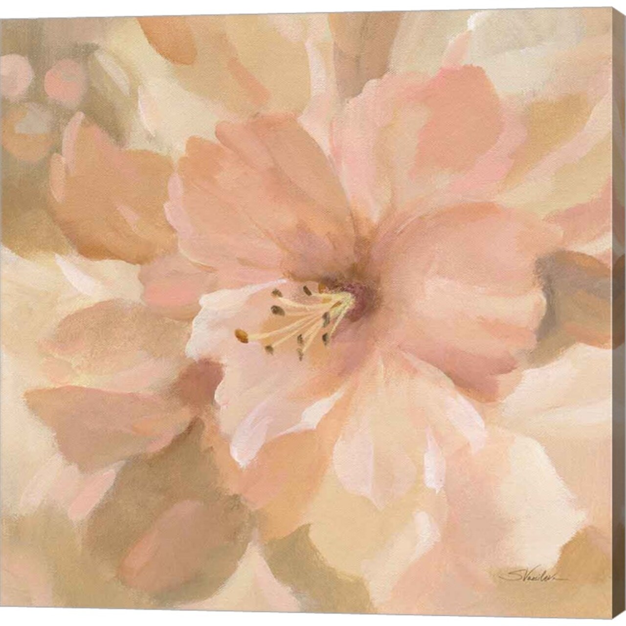 Sweet Boho Flower II by Silvia Vassileva 24" x 24" Canvas Wall Art